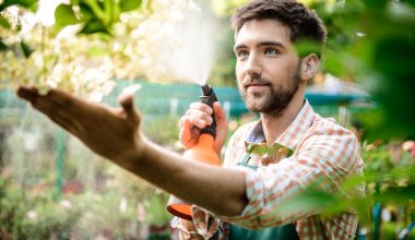 Cele mai importante lucr?ri pe care le faci în gr?din?